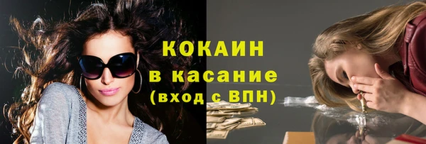 хмурый Алексин