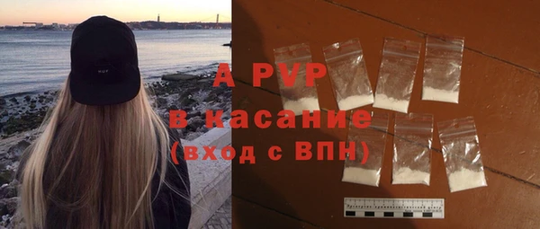 хмурый Алексин