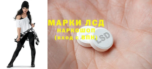 хмурый Алексин