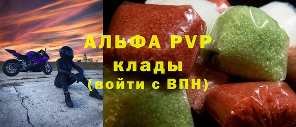 хмурый Алексин