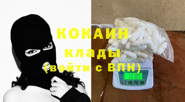 хмурый Алексин