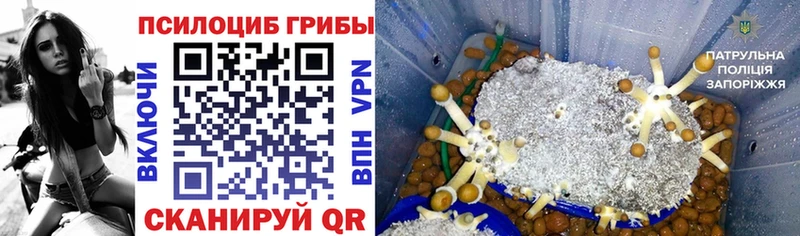 Псилоцибиновые грибы MAGIC MUSHROOMS  где купить наркотик  Новая Ляля 